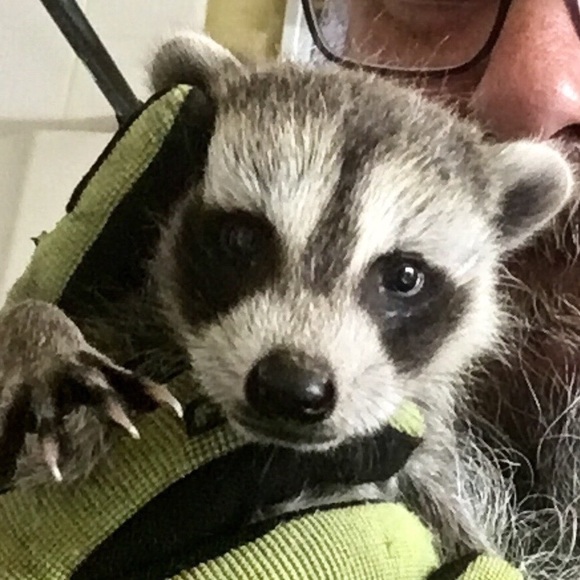 Meet your Posher, Troy - Picture 1 of 1